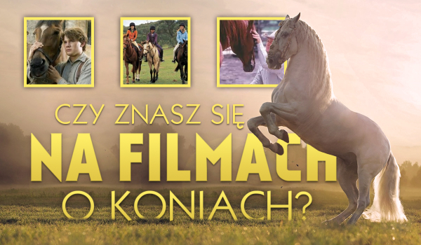Znasz się na filmach o koniach?