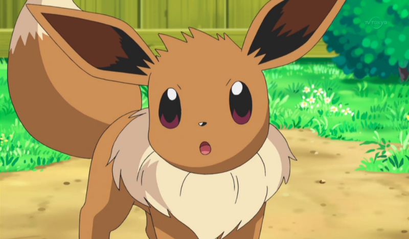 Wylosuj swojego pokemona eevee