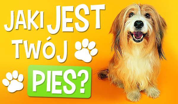 Jaki jest Twój pies?