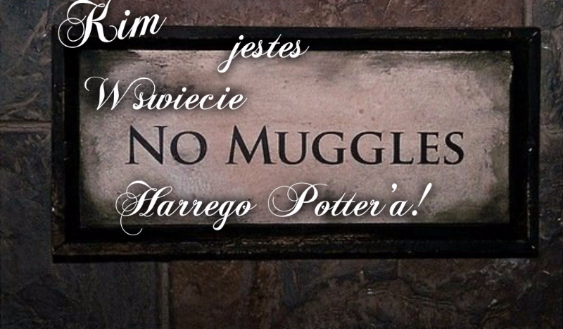Kim jesteś w świecie Harrego Potter’a?