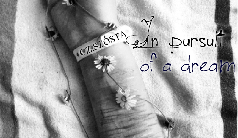 In pursuit of a dream #6