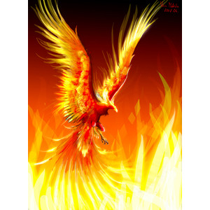 Weronika_Ignaszewska