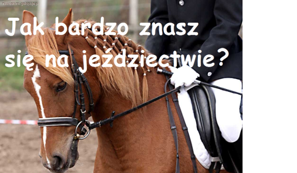 Jak bardzo znasz się na jeździectwie ?