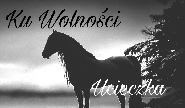 Ku Wolności ~ Ucieczka