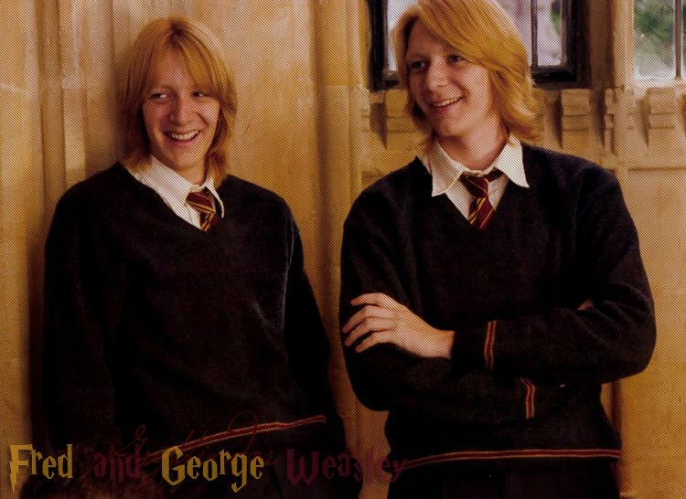 Twoja przygoda z bliźniakami jako siostra Harrego Pottera #1