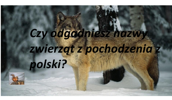 Czy odgadniesz nazwy zwierząt z pochodzenia z polski?
