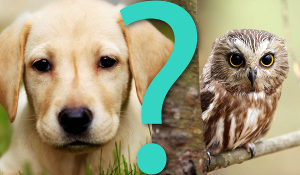 15 pytań z serii „Co wolisz?”