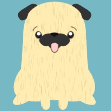 Pug