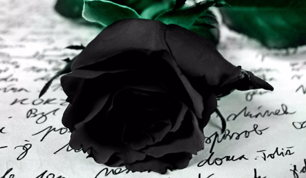 Black Rose #5