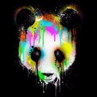 panda132