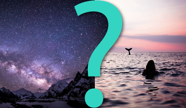 15 pytań z serii „Co wolisz?”