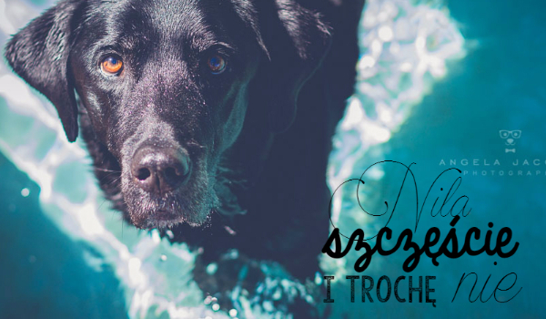 YOUTUBE Nasza Nila – „Odejdziesz?” #2