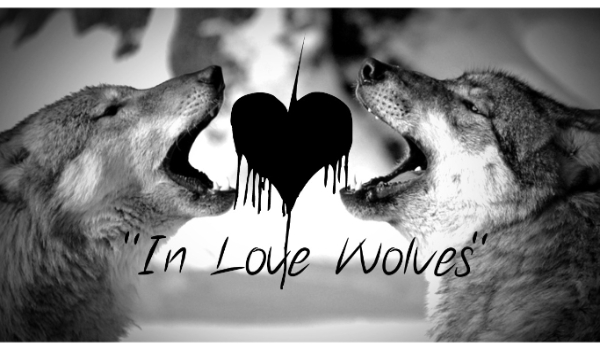 „In Love Wolves” ~ #0