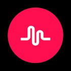 bestmusical.ly