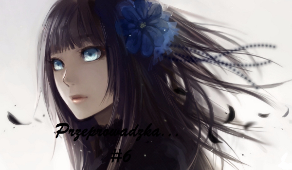 Przeprowadzka…#6 KONIEC