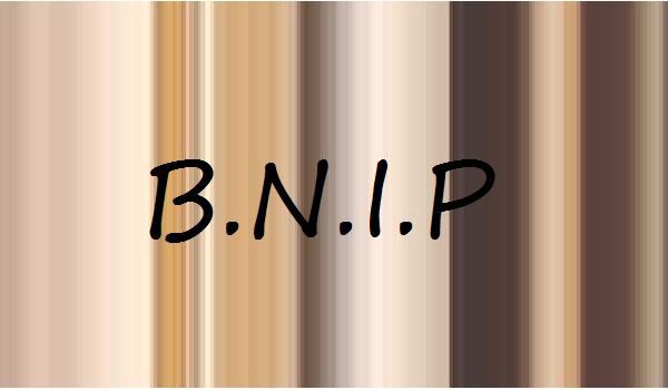 B.N.I.P #13