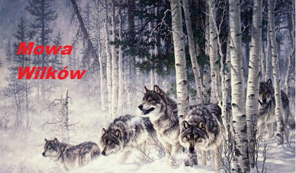 Mowa Wilków #2