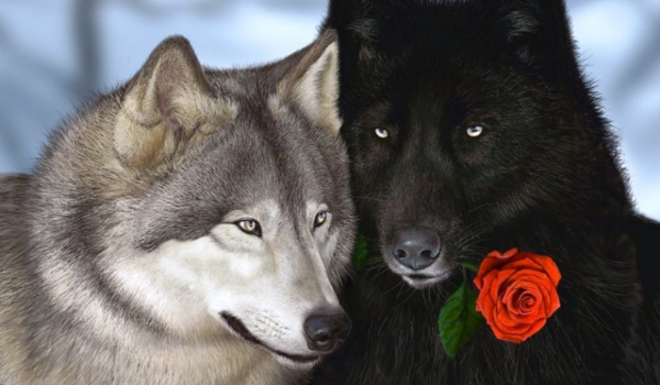 Czy Pasujecie do siebie?