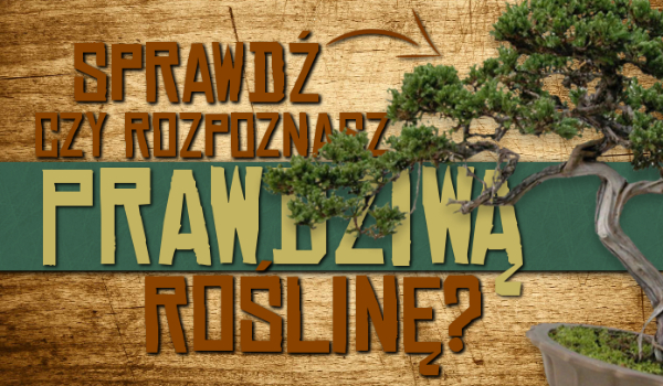 Czy rozpoznasz PRAWDZIWĄ roślinę?