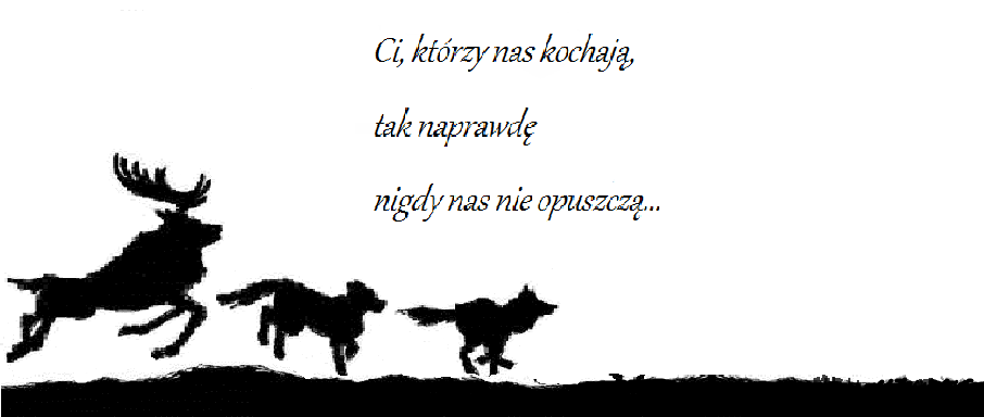 Durmstrang- Hogwart Express… #10