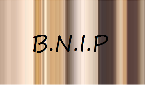B.N.I.P #9