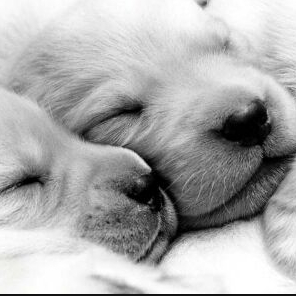 Weronika_Bieganowska