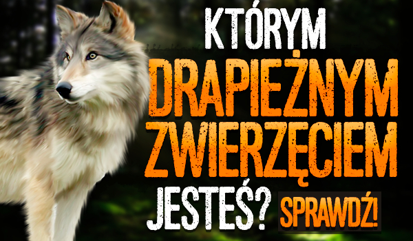 Którym drapieżnym zwierzęciem jesteś?