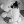 litllebambino143