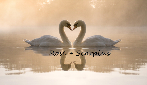 Rose + Scorpius