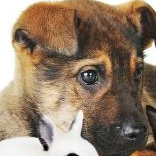 Natalia_Jastrzebska6