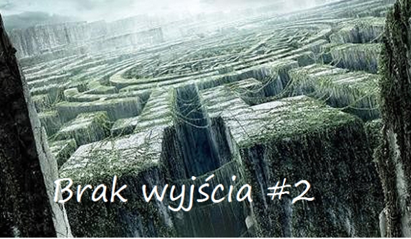 Brak wyjścia #2