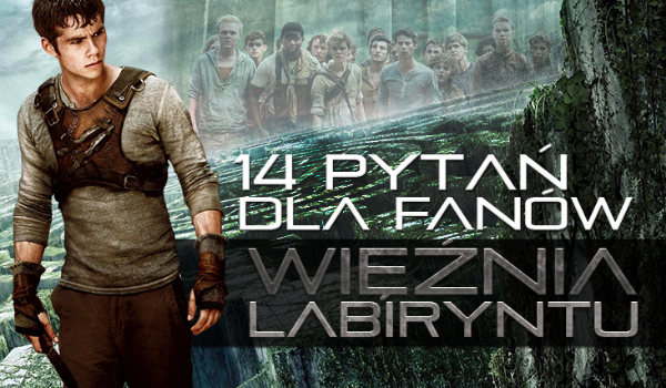 14 pytań z serii „Co wolisz?” dla fanów książki i filmu „Więzień Labiryntu”!