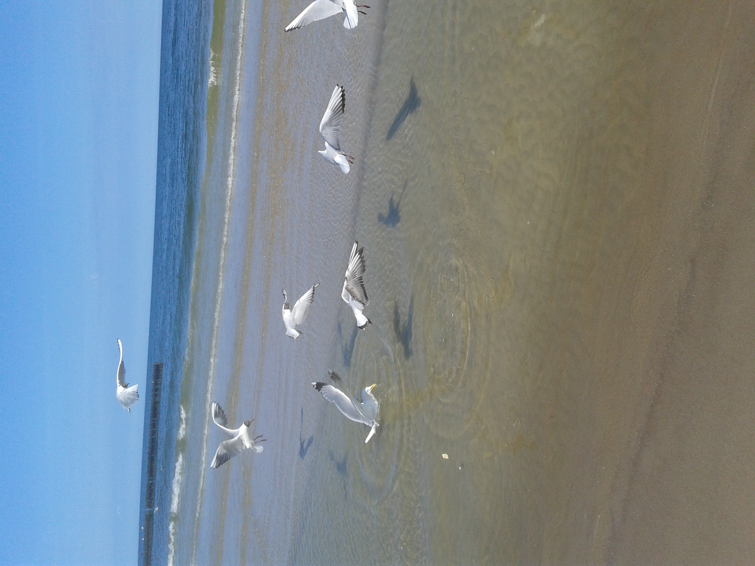 wakacyjna   miłość