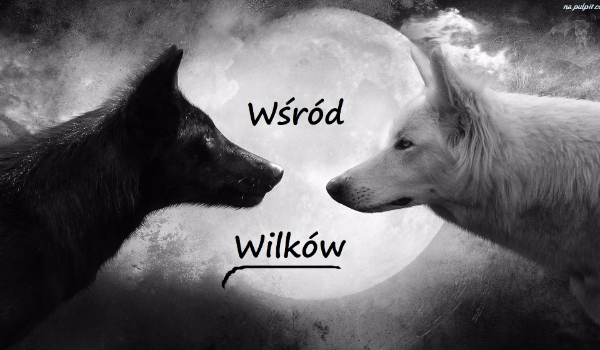 Wśród Wilków #6