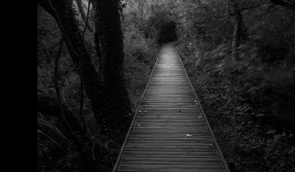 In the darkness. #11