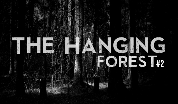 The hanging forest #2