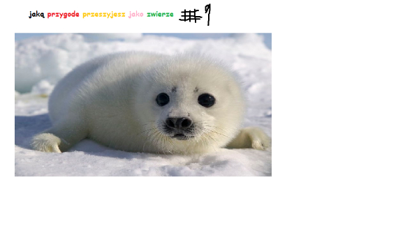 ty jako zwierze