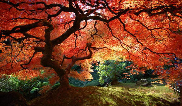 Drugi dzień w . . .