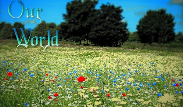 Our world #2