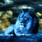 Blue_Lion