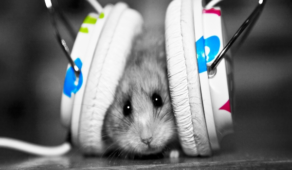 Prawdziwa miłość#5