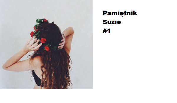 Pamiętnik Suzie #1