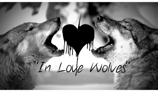 „In Love Wolves” ~ #1