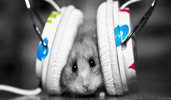 Prawdziwa miłość #2