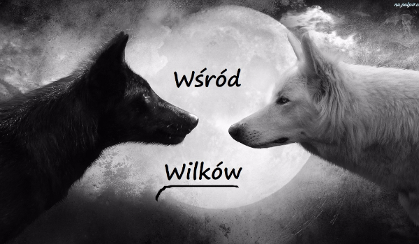 Wśród Wilków #4