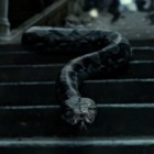 -Nagini-