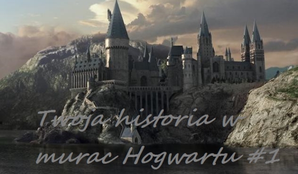 Twoja historia w murach Hogwartu #1