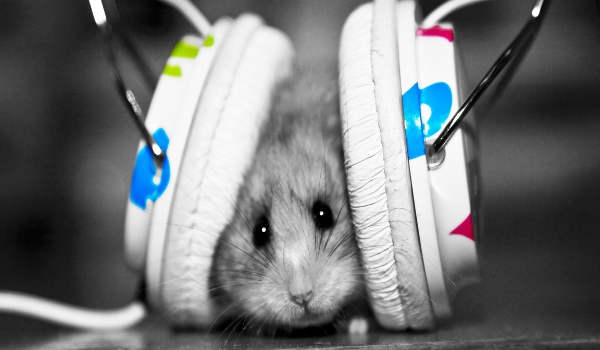 Prawdziwa miłość#4