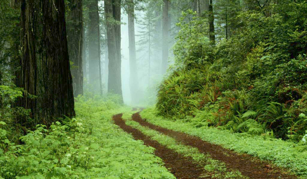 Życie Nastolatki #2