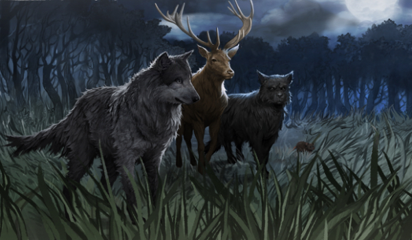 Co dwie Łapy to nie jedna#4